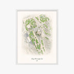 Angel Park Golf Club white frame