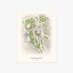Angel Park Golf Club printed artwork