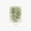 Annandale Golf Course printed artwork