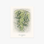 Annandale Golf Course printed artwork