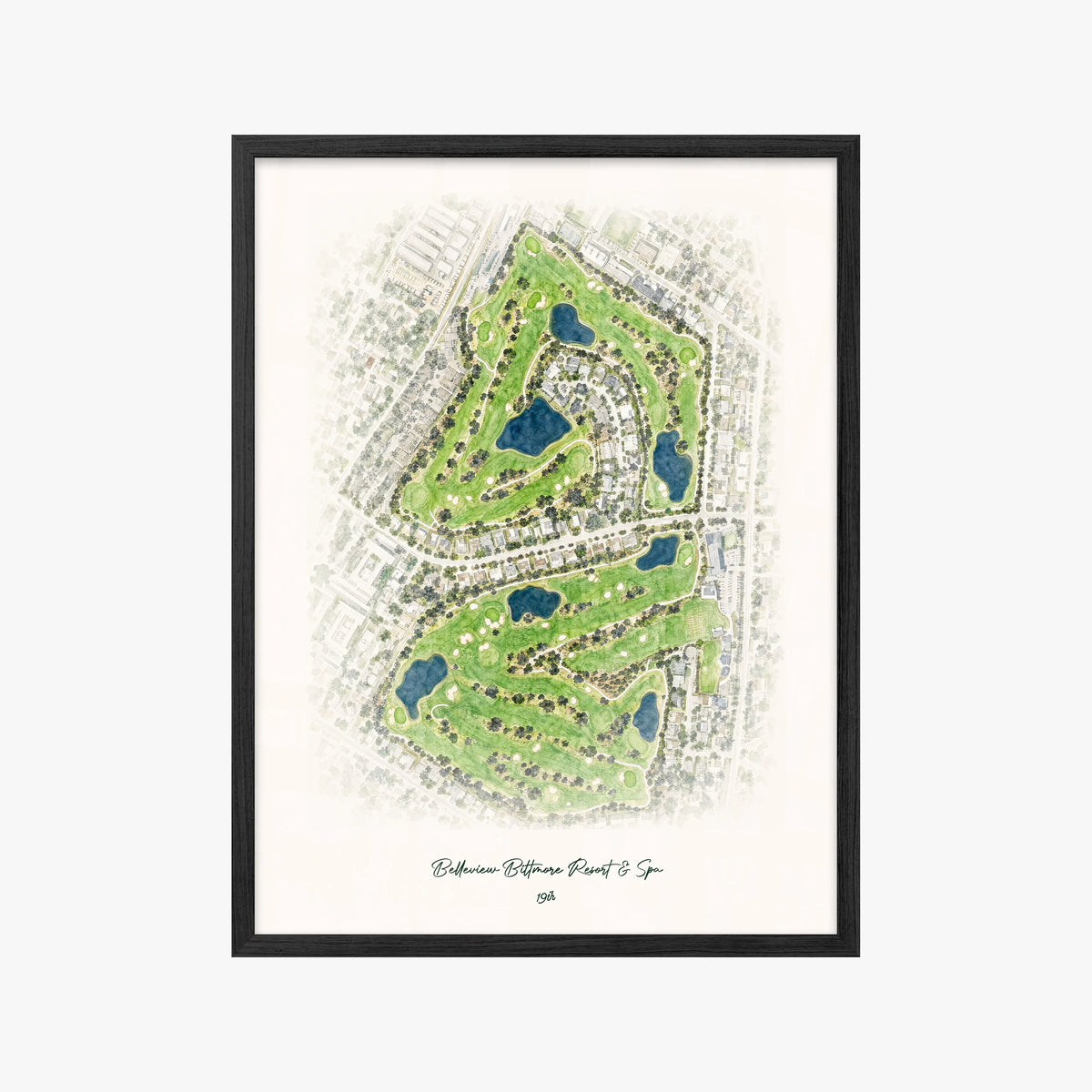 Belleview Biltmore Resort & Spa black frame
