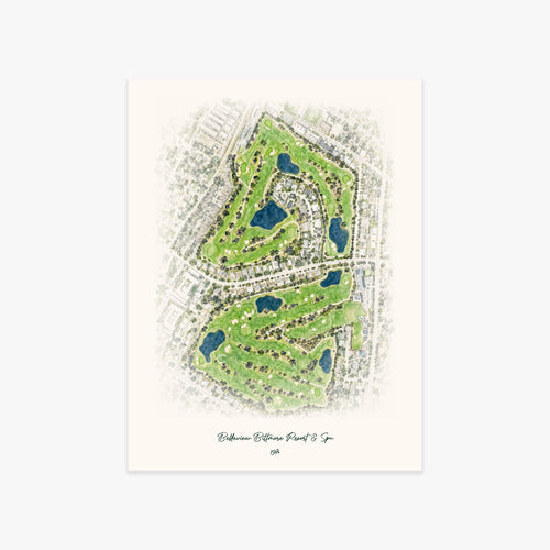 Belleview Biltmore Resort & Spa printed artwork