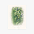 berkshire Valley Golf Course printed artwork
