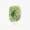 Bonnie Briar Country Club printed artwork