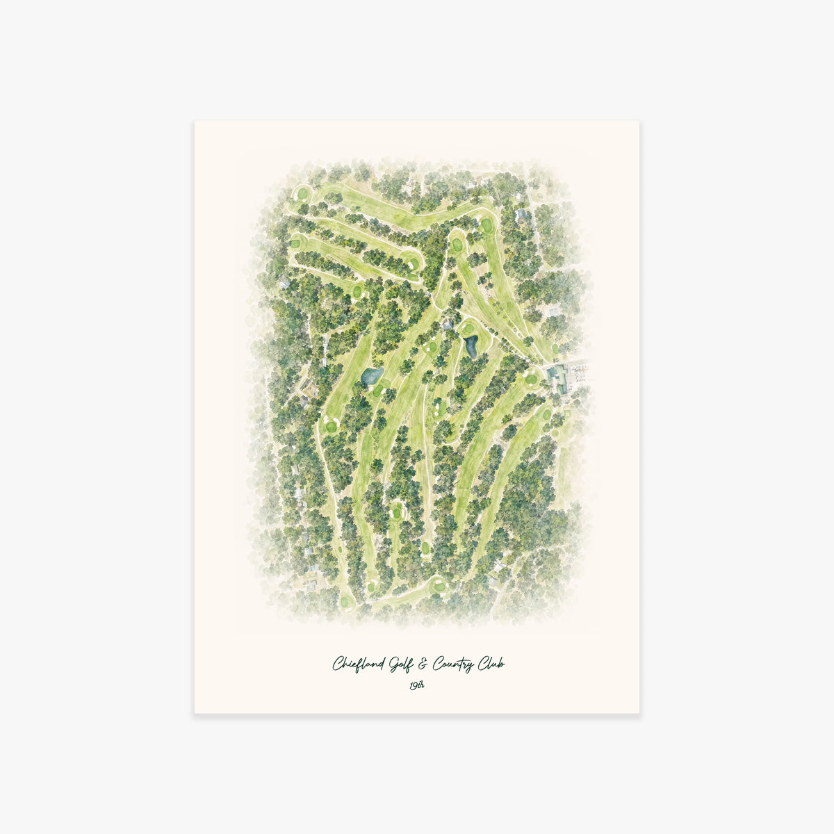 Chiefland Golf & Country Club printed artwork
