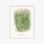 Christman's Windham House white frame