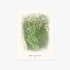 Christman's Windham House printed artwork