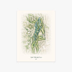 Coyote Hills Golf Course printed artwork