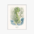 Cypress Point white frame