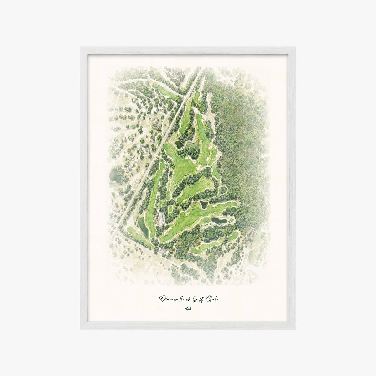 Diamondback Golf Club white frame