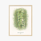 Edgewood Club of Tivoli wood frame