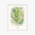 Emerald Greens white frame