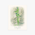 Encinitas Ranch Golf Course printed artwork