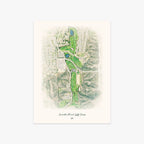 Encinitas Ranch Golf Course printed artwork