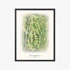 Bear Valley Golf Course black frame