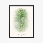 Royal Hawaiian Golf Club black frame