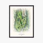 Lincoln Country Club black frame