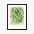 Kirkbrae Country Club black frame