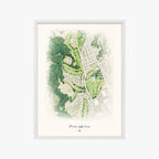 Puakea Golf Course white frame