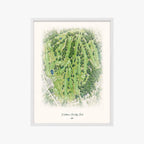 Kirkbrae Country Club white frame