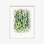 Lincoln Country Club white frame