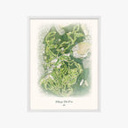 Bethpage State Park white frame