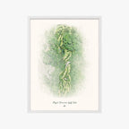 Royal Hawaiian Golf Club white frame