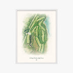 Muskeg Meadows Golf Course white frame