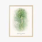 Royal Hawaiian Golf Club wood frame
