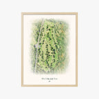 Bear Valley Golf Course wood frame