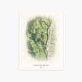 Franklin Canyon Golf Course printed artwork