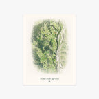 Franklin Canyon Golf Course printed artwork