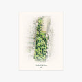 Heartwell Golf Course printed artwork