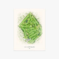Wannamoisett Country Club printed artwork