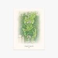 Deerfield Country Club printed artwork