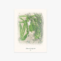 Cottonwood Country Club printed artwork