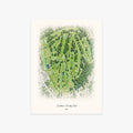 Kirkbrae Country Club printed artwork