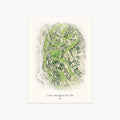 Jackson Hole Golf & Tennis Club printed artwork