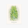 Rehoboth Beach Country Club printed artwork