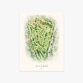 Newark Country Club printed artwork