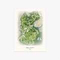 Bethpage State Park printed artwork