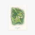Laurel Lane Golf Club printed artwork