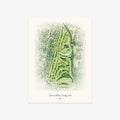 Orchard Park Country Club printed artwork