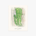 Legion Town & Country Club printed artwork