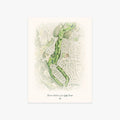 Dunes at Maui Lani Golf Course printed artwork