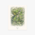 Mayacama printed artwork