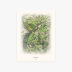 Mayacama printed artwork