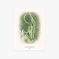 MeadowBrook Golf Course printed artwork