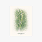 Meadowmont Golf Course printed artwork