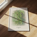 Kahili Golf Course mockup 5